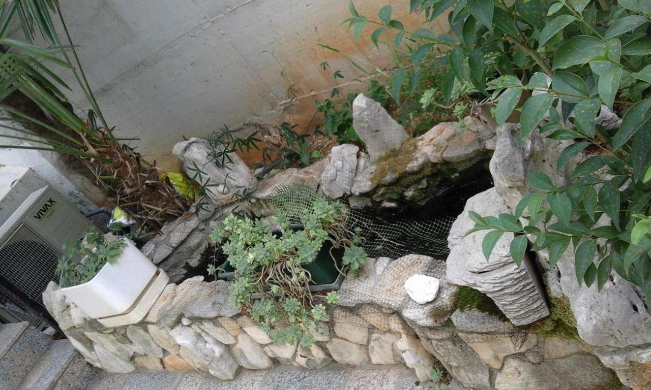 Apartment Jozefina 波雷奇 外观 照片