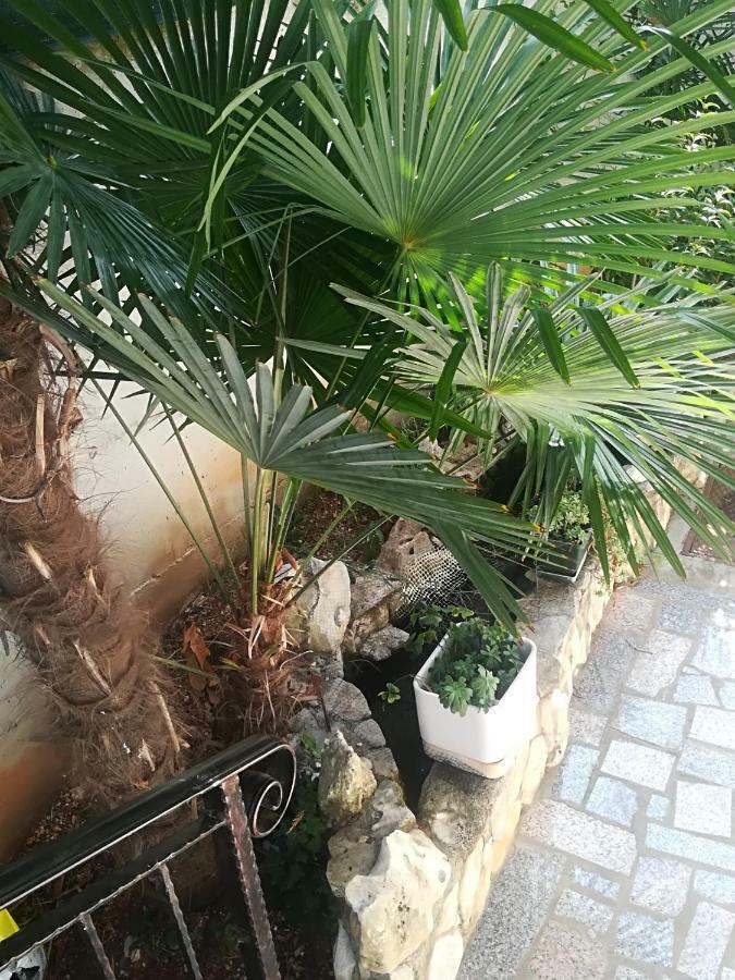 Apartment Jozefina 波雷奇 外观 照片